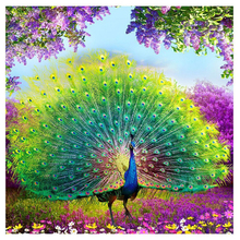 DIY 5D Diamond Painting Cross Stitch square Diamonds Embroidery Peacock Wealth and Good Fortune Diamond Mosaic Home Decor 2024 - buy cheap