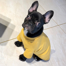 Moda francês bulldog pet hoodie camisa primavera outono camisola do cão roupas para cães pequenos filhote de cachorro gato roupas shih tzu pug outfit 2024 - compre barato