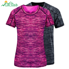 LoClimb Camping Hiking T-Shirt Men Women Quick Dry Bodybuilding Fitness Tshirt Outdoor Trekking Fishing Mens Sport T Shirt AM269 2024 - buy cheap