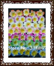 200 pcs hot sell mixed color Plumeria flower Hawaiian Foam Frangipani Flower wedding party decor 4.5cm no clip hair accessories 2024 - buy cheap