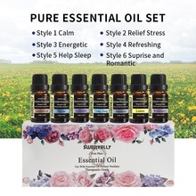 6 Style 10ml Essential Oil Set Water Solution Natural Plant Aromatherapy Relaxing Fragrance Oil for Car Air Humidifier Freshener 2024 - buy cheap