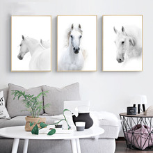 Nordic Style Minimalism Animal White Horse Poster Wall Art Canvas Prints Painting Modular Pictures Living Room Modern Home Decor 2024 - buy cheap