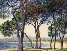 Wall art Trees by the Seashore at Antibes by Claude Monet oil paintings Handmade High quality 2024 - buy cheap