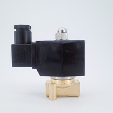 GOGO AC220V 24V DC 12V DC 2 way brass solenoid valve vacuum -1bar to 1bar 1/4 inch normally close vacuum pump solenoid valve 2024 - buy cheap