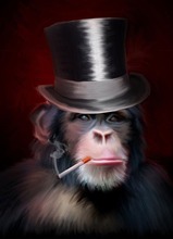 Home Decor Steez Monkey Smoking A Joint-Silk Art Poster Wall Sticker Decoration Gift 2024 - buy cheap