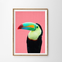 Toucan bird impressões em tela modernas, fotografia grandes e brilhantes, poster artístico, pintura de papagaio tropical, imagem, decoração de quarto de criança 2024 - compre barato