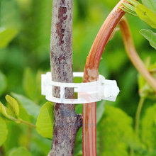 50pcs Tomato Veggie Garden Plant Support Clips For Trellis Twine Greenhouse Invernadero 2024 - buy cheap