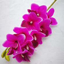 Орхидеи на ощупь 10p, Cymbidium 10 цветов орхидеи, белые/розовые/зеленые/фиолетовые, для свадебного декора 2024 - купить недорого