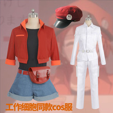 Harajuku japonés-disfraz de célula de trabajo para Halloween, Cosplay de Anime, Anime, dibujos animados, célula roja de sangre/plaqueta/leukocyte 2024 - compra barato