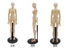 sketch cartoon drawing female mannequin model plastic massage model 2024 - buy cheap