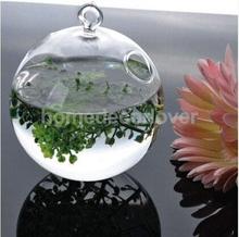 Шаровая подвесная гидропонная ваза для цветов, Террариум, контейнер 12 см 2024 - купить недорого