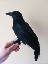feathers crow bird about 30cm black crow Halloween prop toy model home decoration gift h1002 2024 - buy cheap