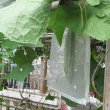2pcs L:105-140cm Big Size 40Mesh Nylon Net Bag Vegetable Plants Fruit Protection Cover Food Storage Bag Fish Net Bag 2024 - buy cheap