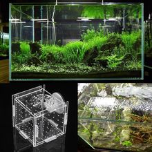 Acrylic Aquarium Fish Breeding Isolation Box Baby Fish Incubator Hatch Breeder Fish Tank 2024 - buy cheap