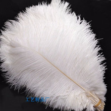 Wholesale! 100 PCS/a lot of beautiful white ostrich feathers 20-25 cm / 8-10 inches wedding celebration decoration 2024 - buy cheap