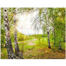 5D Diy Diamond Painting Mosaic Landscape Mountain Scenery Diamond Embroidery Birch Forest 5D Full Square Home DecorationZP-2909 2024 - buy cheap