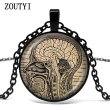 Collar de cerebro colgante de anatomía del cerebro, collar de fotos de vidrio convexo para ciencia neumática, 2018 2024 - compra barato