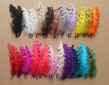 [IuBuFiGo] 200pcs/lot 12-18 cm Wedding Feather Frizzle Goose Feather By Hand With High Quality #26 Color 2024 - buy cheap