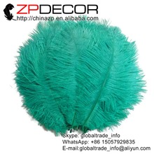 ZPDECOR 100 шт./лот 20-25 см (8-10 дюймов) ручной выбор лучшее качество Аква Зеленый опт страусиные перья (оптом) для украшения 2024 - купить недорого