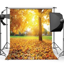 Folhas caídas backdrops fotografia sunny grassland árvore foto pano de fundo vinil personalizado 3d pano de fundo para estúdio para teatro 2024 - compre barato