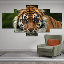 Pinturas de arte modulares HD, carteles de lienzo impresos modernos, 5 paneles, animales tigres, decoración del hogar, sala de estar, pared, enmarcado, imágenes de moda 2024 - compra barato