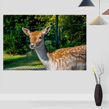 Cuadro moderno de cartel de ciervos para pared de salón, arte, tela de seda, decoración, póster para niños, regalo 2024 - compra barato