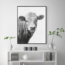 Decoración de granja de vaca, arte de pared de cabaña de campo, impresiones en lienzo en blanco y negro, fotografía artística de pintura de animales de granja, cartel para casa rústico 2024 - compra barato