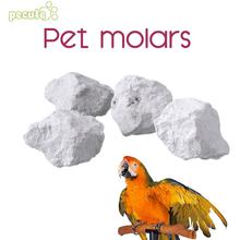ПЭТ шлифовальный камень попугай маленькие животные зубы кубики хомяк молярный камень жевательная игрушка 2024 - купить недорого