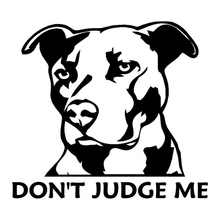 12.9cm*11cm Pit Bull Dog Don't Judge Me Stickers Decals Vinyl Car-Styling S4-0231 2024 - buy cheap