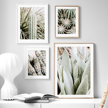 Green Plant tropic Cactus Flower Agave Wall Art Canvas Painting Nordic Posters And Prints Wall Pictures For Living Room Decor 2024 - buy cheap