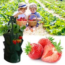 3 Gallon Strawberry Planting Bag Garden Leaf Air Plant Planting Bags Breathable Good Water Retention Home Gardening Accessory 2024 - buy cheap