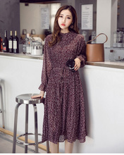 Chiffon Bohemian Dress Spring Loose Pleated Dresses Women A-line Flower Print Floral Dot Female Vestidos Plus Size High quality 2024 - buy cheap