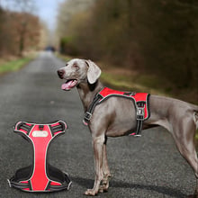 Reflective Big Dog Harness Vest for Small Medium Big Dogs Collar All-weather Sports Training Pet Harnesses Husky Chest Strap 2024 - buy cheap