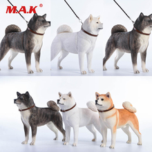 1/6 Scale Figure Scene Accessories Working Dog Model Japanese Akita Jxk007 A/B/C With Collar Anime Statue Model for 12'' Action 2024 - buy cheap