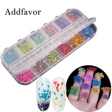 Addfavor Dry Flowers Nail Art Decoration 3D Nail Art Floral Sticker Babysbreath DIY Tips Manicure Tools 12 Colors/Box 2024 - buy cheap