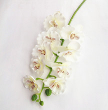 Орхидея Фаленопсис 10, крем для головы/оранжевый/ярко-розовый/фуксия светильник-фиолетовые орхидеи для свадьбы, искусственные декоративные цветы 2024 - купить недорого