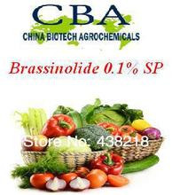 Natural Brassinolide 0.1% SP Plant Hormone | BRASS PGR Growth Regulator 2024 - купить недорого