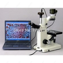 Microscopio invertido-Suministros de AmScope, cultivo de tejidos invertido, microscopio Trinocular 40x-800x 2024 - compra barato