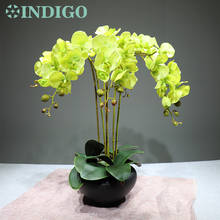 Цвета индиго-зеленый орхидеи цветок (5 шт. цветок + 3 листа) Настоящий сенсорный цветок свадебный декоративный цветок событие Бесплатная доставка 2024 - купить недорого