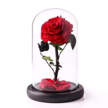 Rosa de vida eterna Natural en cúpula de cristal, Base de madera preservada, regalo para el Día de San Valentín, mesa de casa, decoración de boda, 1 ud. 2024 - compra barato