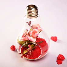 Стеклянная лампочка SOLEDI в форме цветка, фотоальбом для дома 2024 - купить недорого
