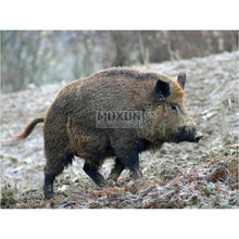 Full Square 5D DIY Diamond Painting Animal wild boar, Picture Diamond Embroidery,Cross Stitch,diamond Mosaic,stickers,home decor 2024 - buy cheap