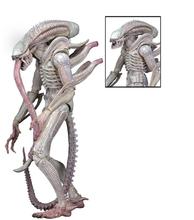 Нека из фильма "Белые Aliens Xenomorph", ПВХ экшн-фигурка, Коллекционная модель игрушки 2024 - купить недорого