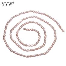 YYW Cultured Baroque Freshwater Pearl Beads Nuggets Natural Pink 2-3mm Approx 0.8mm Sold Per Approx 15 Inch Strand 2024 - buy cheap