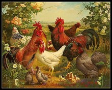 Needlework for embroidery DIY French DMC High Quality - Counted Cross Stitch Kits 14 ct Oil painting - Poultry Yard 2024 - buy cheap