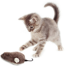 Wireless Winding Mechanism Mouse Cat Toy For Cat Dog Pet Trick Playing Toy Plush Rat Mechanical Motion Rats Random Color 2024 - buy cheap