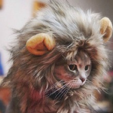 Lion Mane Wig Cute Cat Pet Costume Cosplay Mane Wig Cap Hat for Cat Halloween Xmas Clothes Dress with Ears 2024 - buy cheap