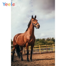Yeele-telón de fondo de vinilo con diseño de caballo para niños, telón de fondo para fiesta de cumpleaños y estudio fotográfico 2024 - compra barato