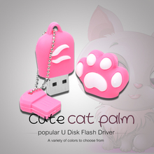 Cute Cat's Paw USB Flash Drive Gift Pen Drive Creative USB 2.0 Flash Memory Stick 64GB 32GB 16GB 8GB 4GB 2GB 2024 - buy cheap