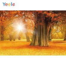 Yeele-fondo fotográfico personalizado para estudio fotográfico, decoración de Salón de Otoño, bosque de Arce, hojas rojas 2024 - compra barato